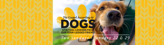 Seeing Ourselves In Our Dogs