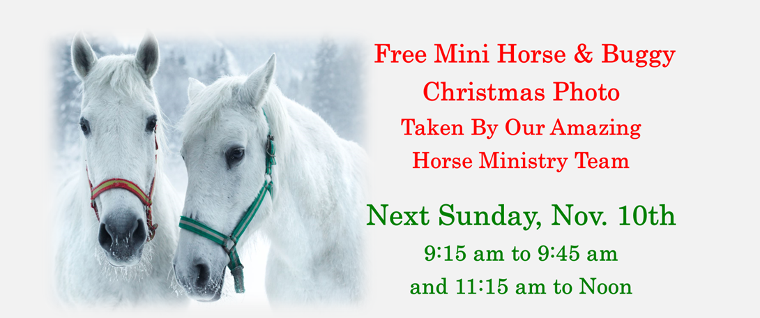 Free Mini Horse & Buggy Christmas Photo on Nov. 10th