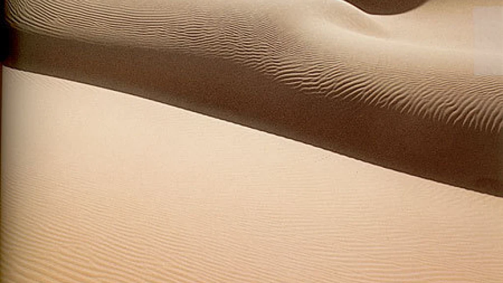 Lent: Return to the Wilderness