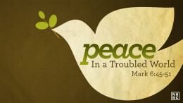Peace in a Troubled World \ June 25, 2023