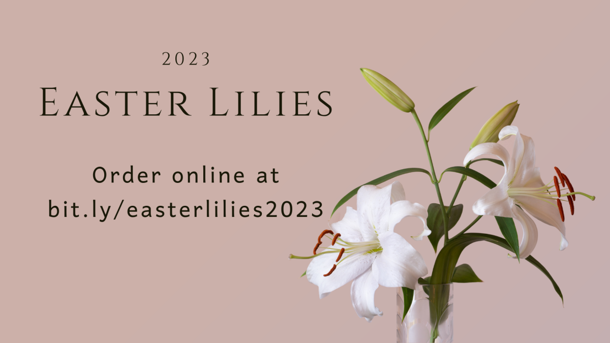 Easter Lilies