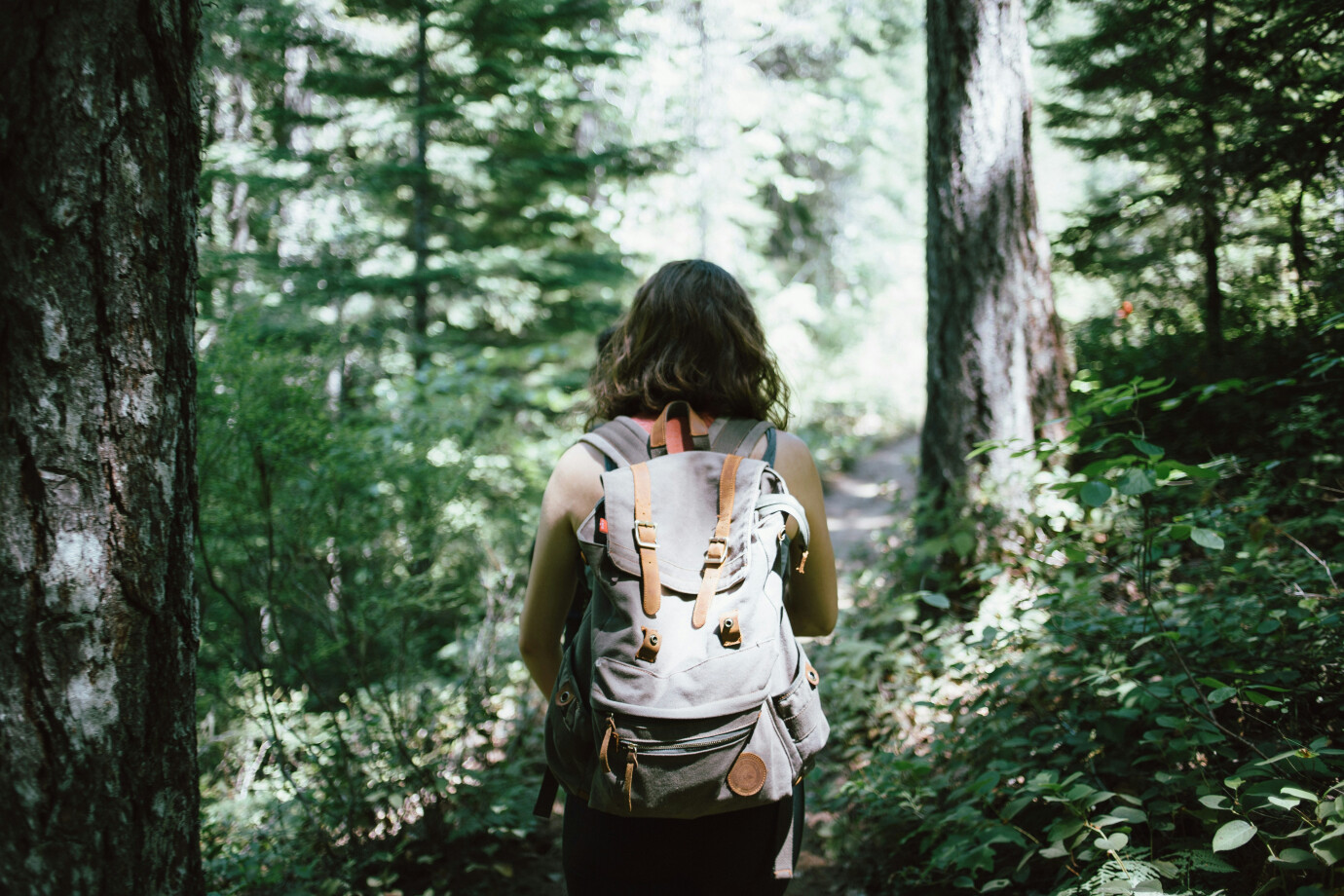 Youth Group Hike