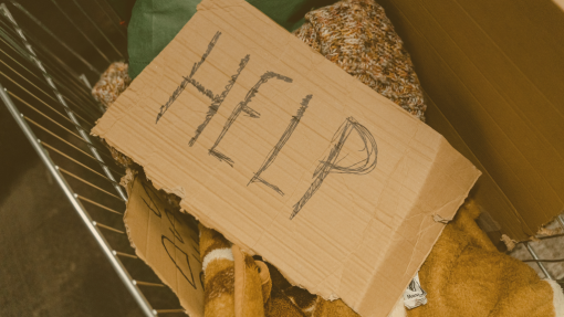 Giving a Hand to the Helpless