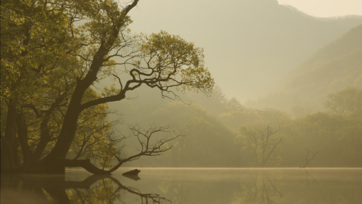 Recognizing God in All Things