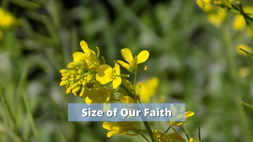 Size of Our Faith