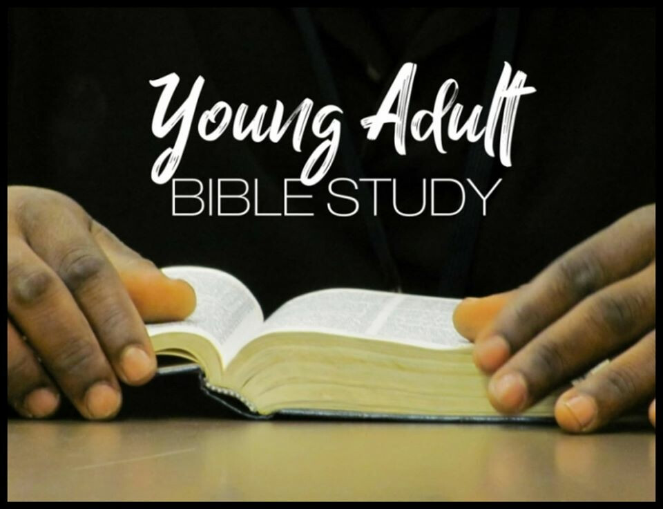 Young Adult Bible Study