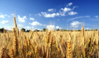 Test Image 3