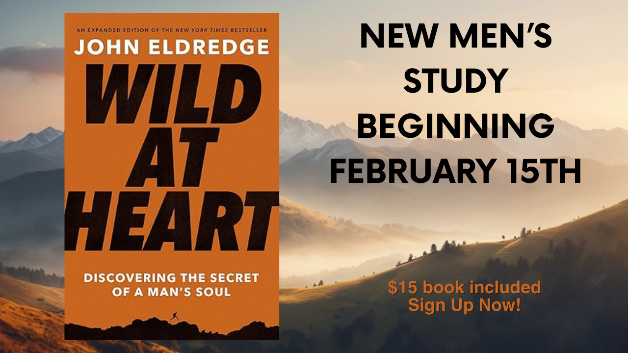 Men's Study- Wild at Heart