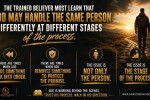 Different Stages of the Process