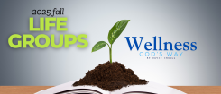 Wellness God's Way
