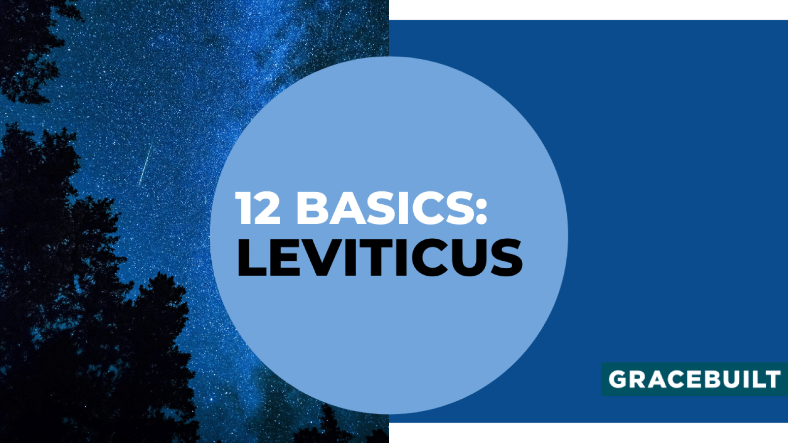 12 Basics: Leviticus