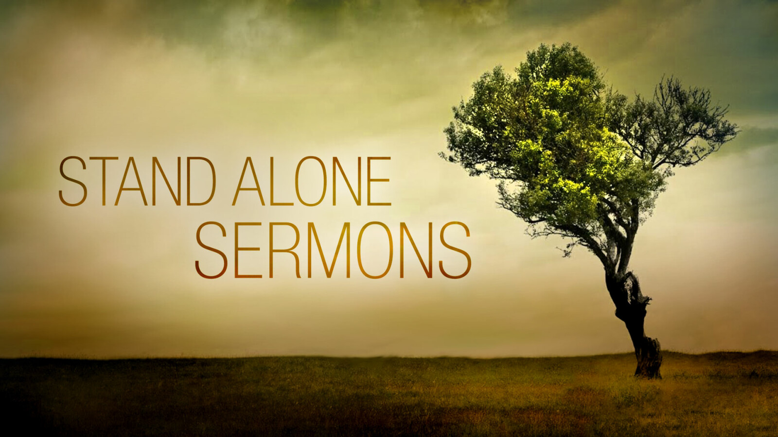 Stand Alone Sermons January 2019