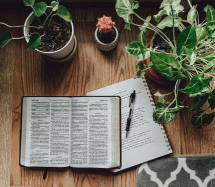 He is Worthy of Our Praise