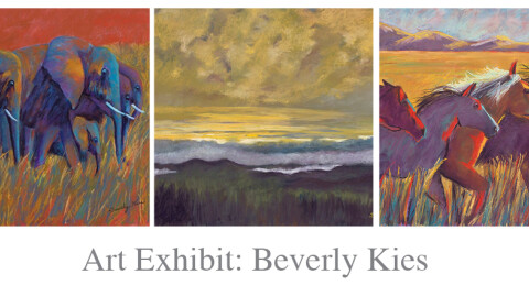 Art Exhibit: Beverly Kies