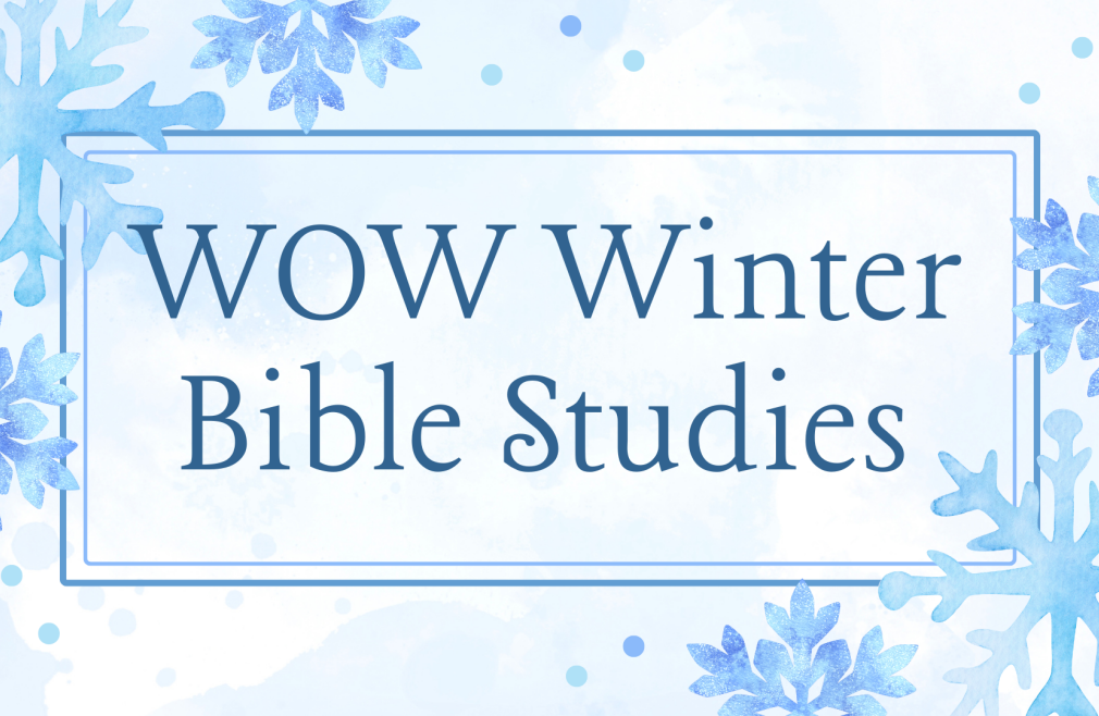 WOW Winter Bible Studies 