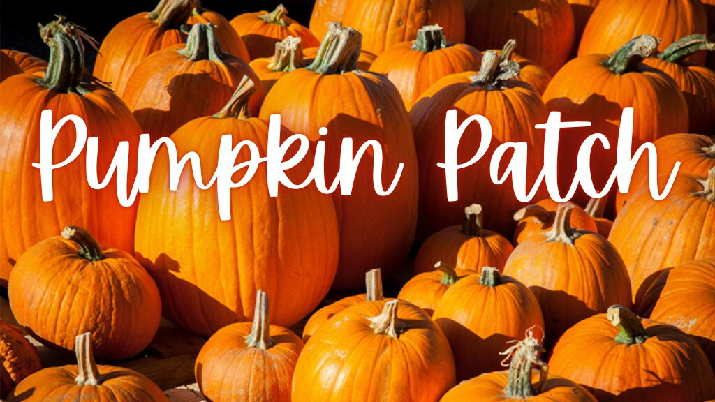 Pumpkin Patch