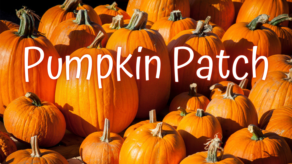 Pumpkin Patch