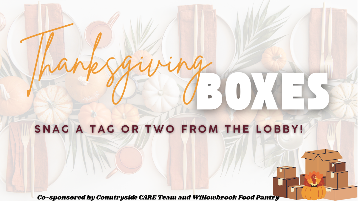 Thanksgiving Boxes 2025