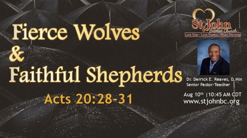 Fierce Wolves & Faithful Shepherds