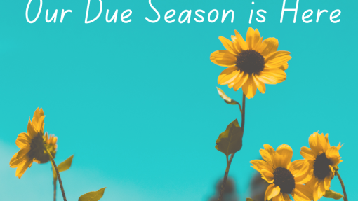 DON MONTHLY NEWSLETTER (JUNE 2026)