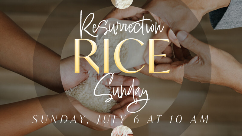 Resurrection Rice Collection