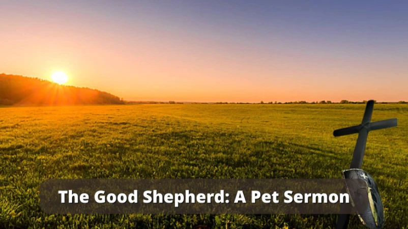 The Good Shepherd: A Pet Sermon