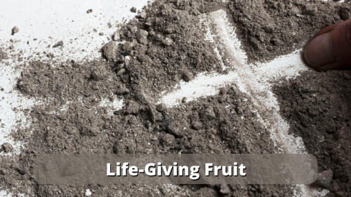 Life-Giving Fruit