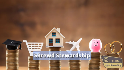 Shrewd Stewardship
