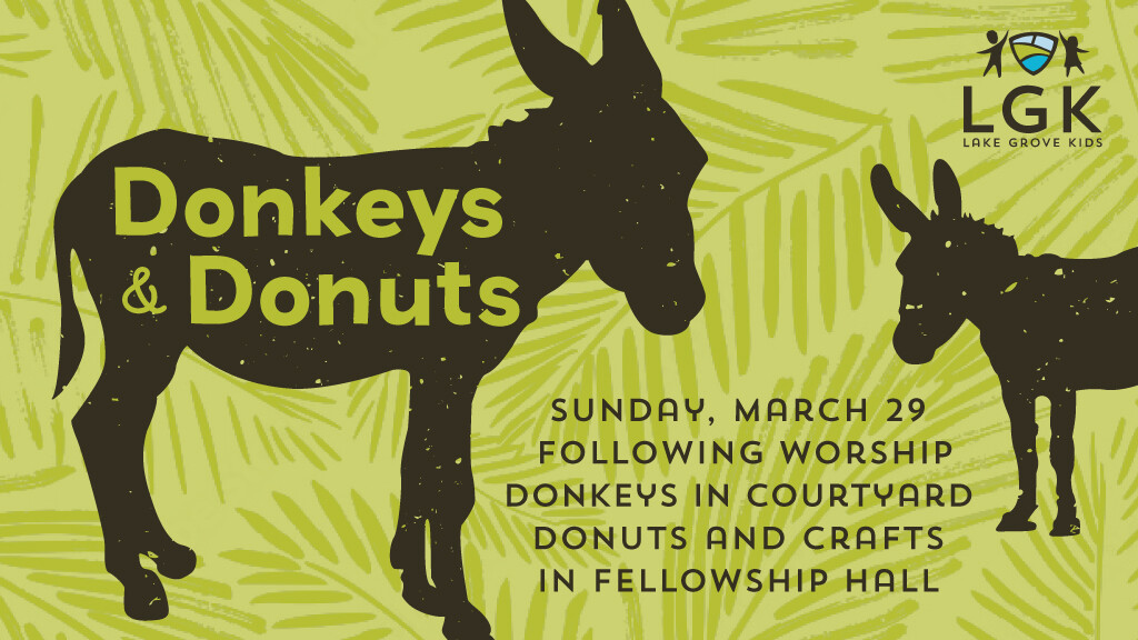 Donkeys and Donuts