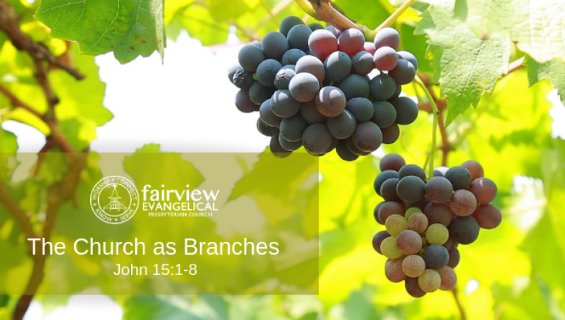 The Church as Branches