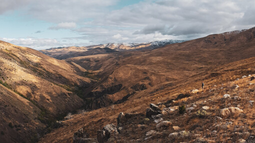 The Wilderness Bursting 