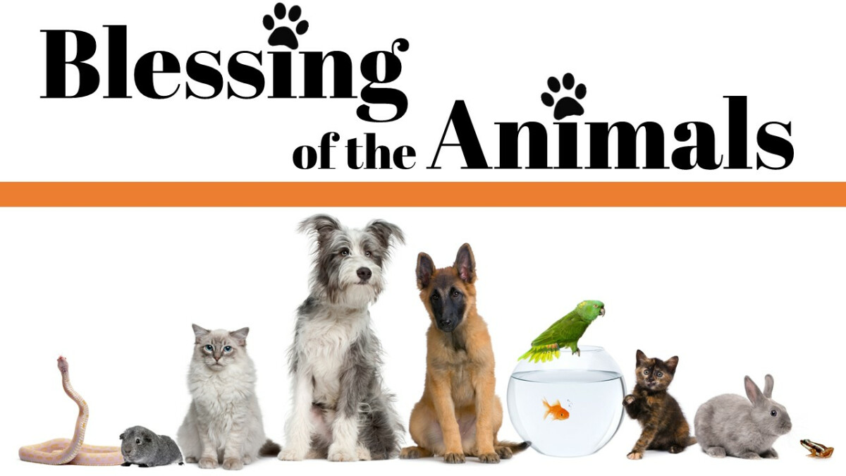 Blessing of the Animals