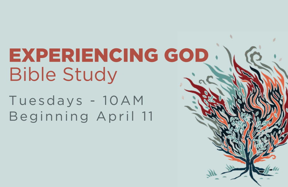 Bible Study: Experiencing God