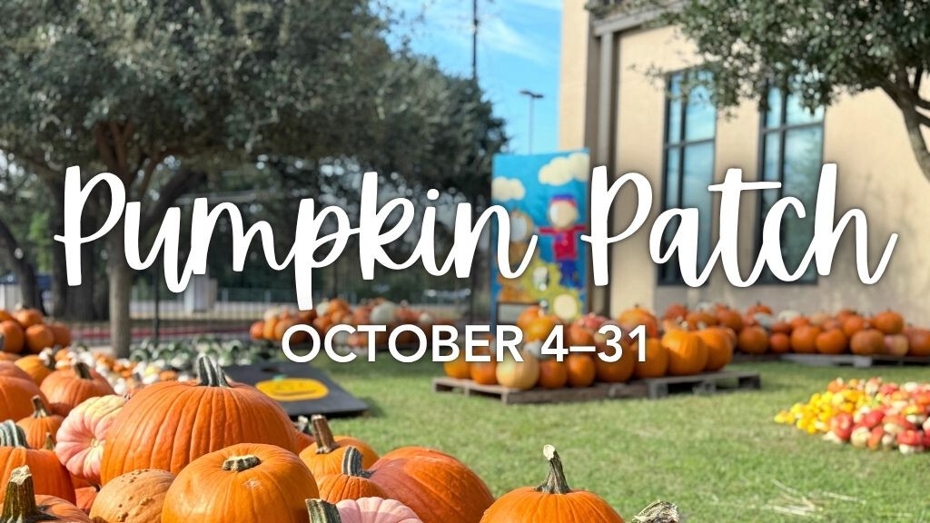 Pumpkin Patch