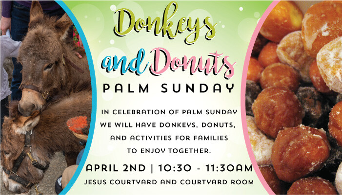 Donkeys and Donuts