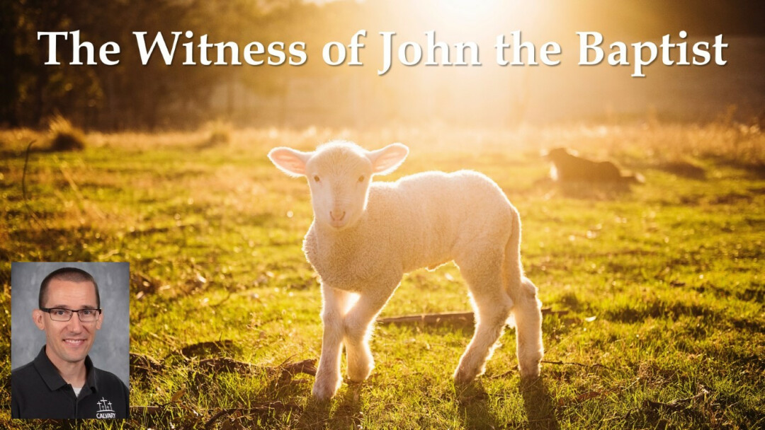 The Witness of John the Baptist