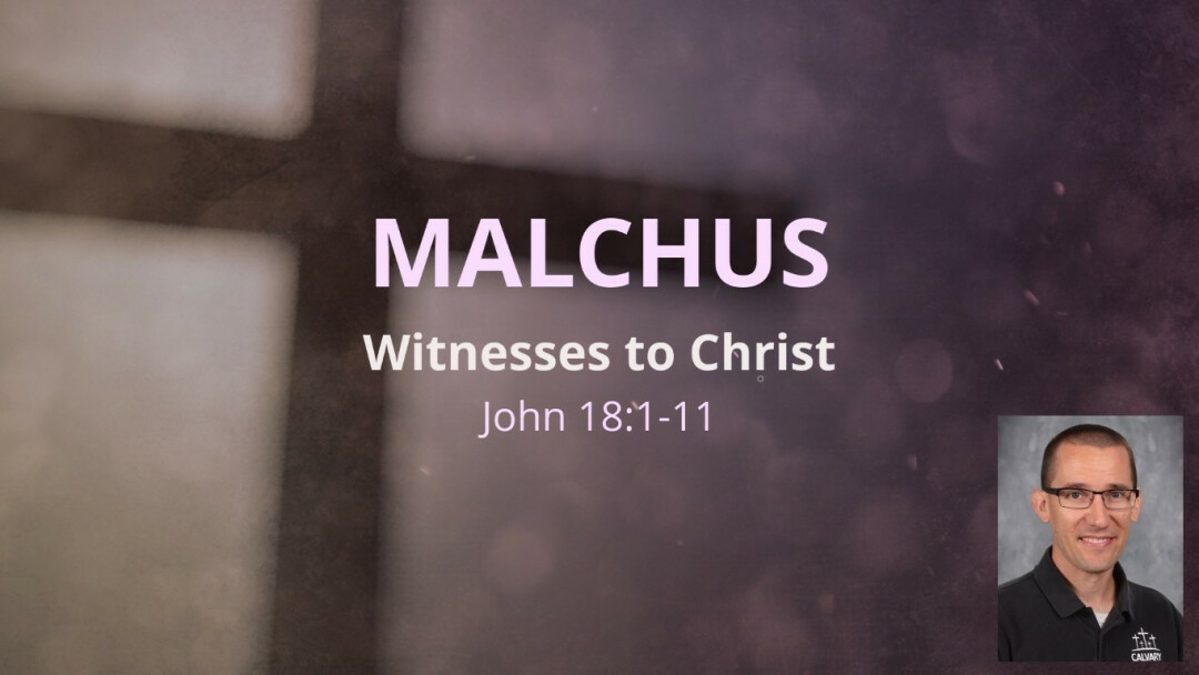 Malchus: Dealing with the Messes of Life