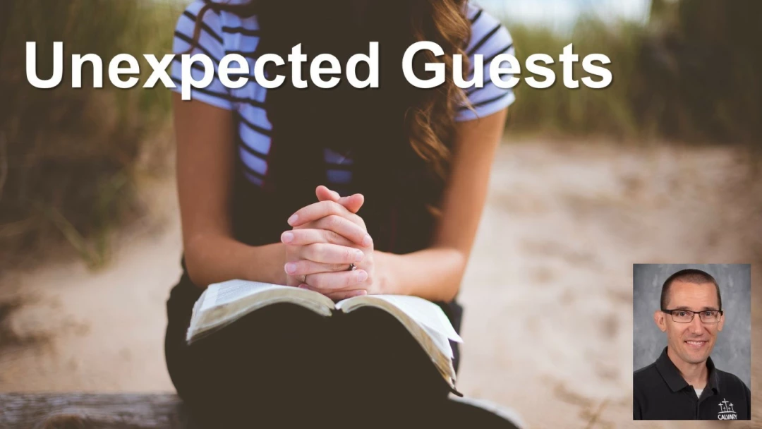 Unexpected Guests