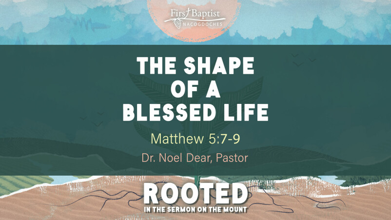 The Shape of a Blessed Life
