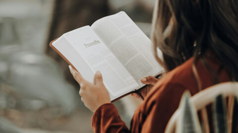 Sunnybrook Staff Favorites: Books