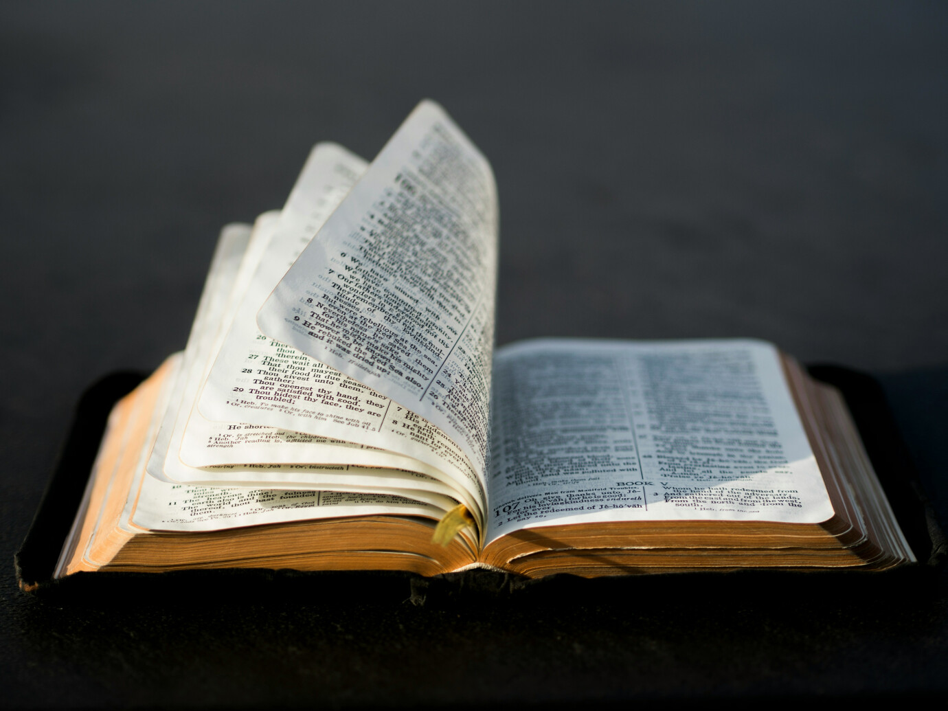 Bible Sunday