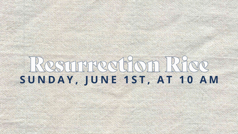 Resurrection Rice Collection