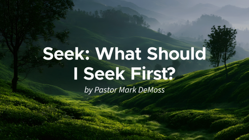Seek: What Should I Seek First?