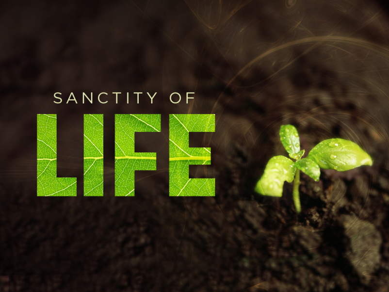The Sanctity of Human Life 2022