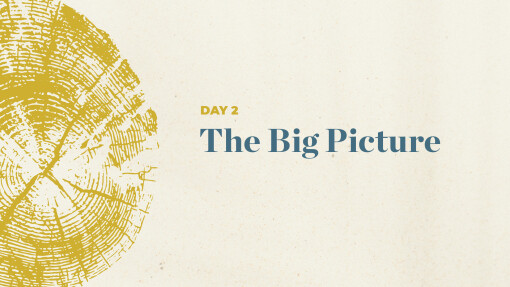 The Big Picture