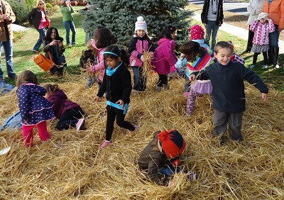 LB Hay Pile