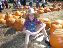 Pumpkin Patches Sprout Up in Time for Fall