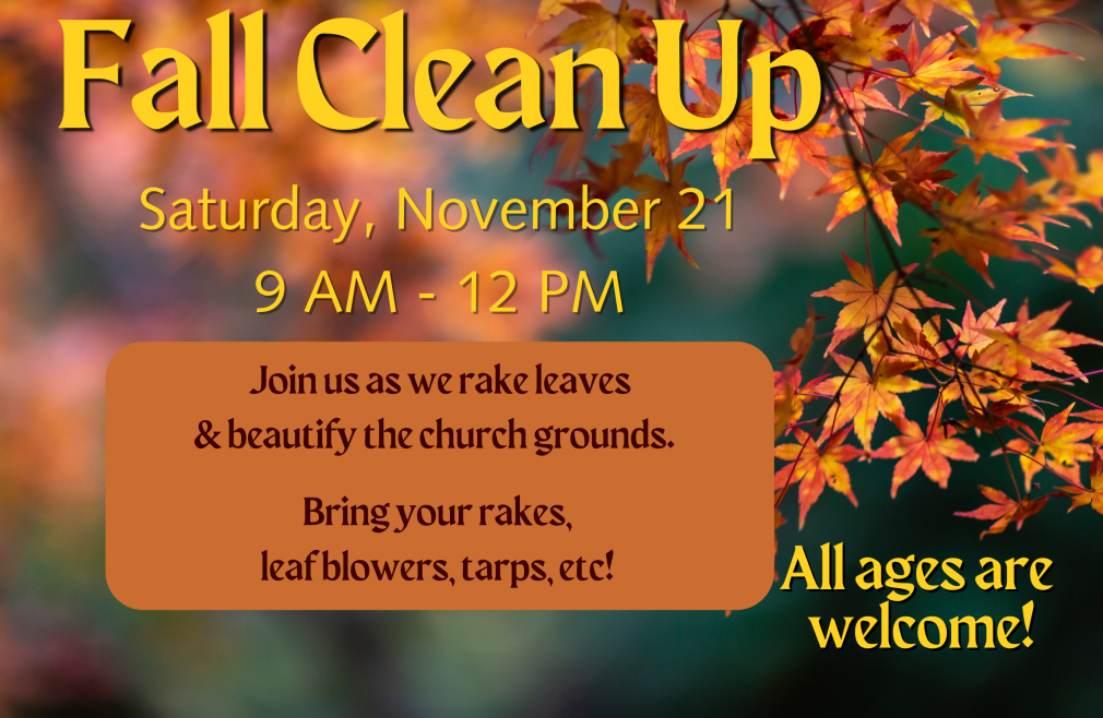 Fall Clean Up Event