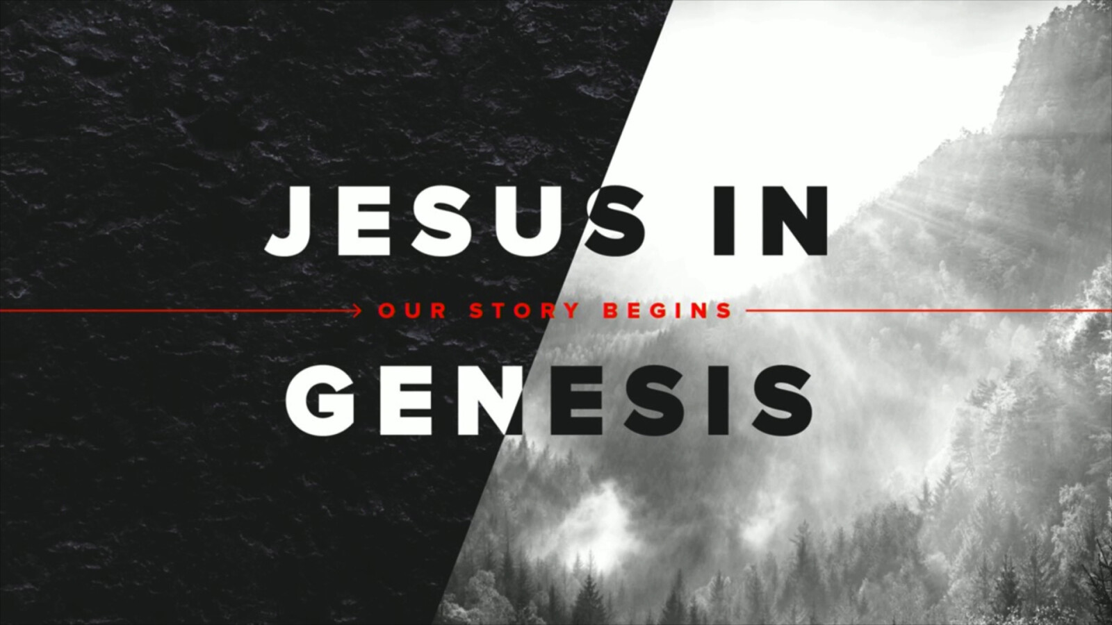 Jesus In Genesis