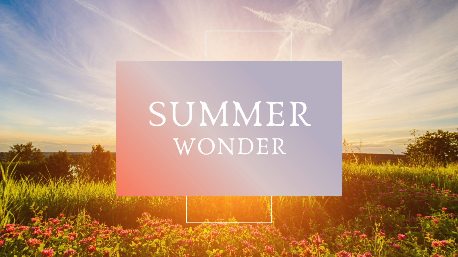 Summer Wonder